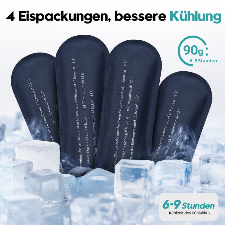 Z3 Kühlbox und Warmhaltebox grau (inkl. 4 Kühlakkus; für Transport von Insulin geeignet) - BenBag GmbH